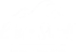 Blue Swell Rentals and Real estate